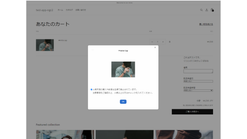 shopify application 295 screenshots images 5