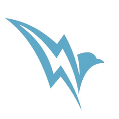 flashbird shopify app reviews