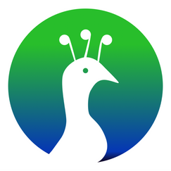 oms pavo shopify app reviews
