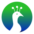 Pavo app overview, reviews and download