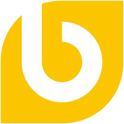 bizyness shopify app reviews