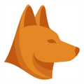 Dingo: 200+ Sections app overview, reviews and download