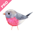 Photo Gallery | Robin PRO app overview, reviews and download