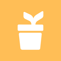 kueski pay compra sin tarjeta shopify app reviews