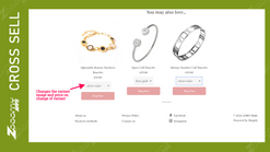 upsell cross sell by zooomy screenshots images 3