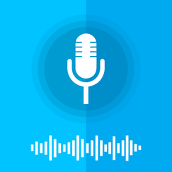 voice control 1 shopify app reviews