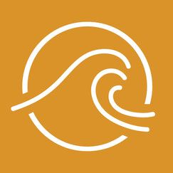 crowd control shopify app reviews