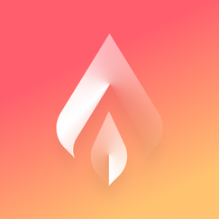 bonfire shopify app reviews
