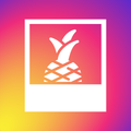 Instagram Feed app overview, reviews and download