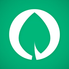 secure payments via paymongo shopify app reviews