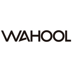 wahoolshop shopify app reviews