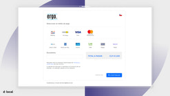 dlocal screenshots images 2