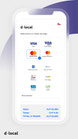 dlocal screenshots images 4