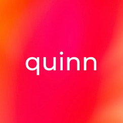 quinn live shopify app reviews