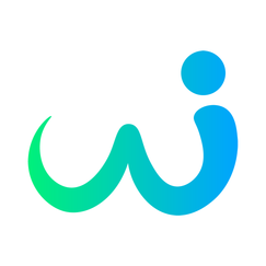 gowizi shopify app reviews