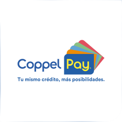 coppelpay payment app shopify app reviews