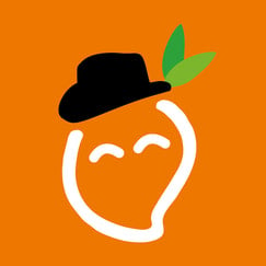 mangoerp shopify app reviews