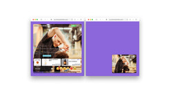 flux panda live selling screenshots images 3