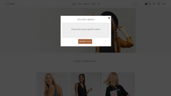 simile search screenshots images 2