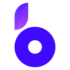 bloom 2 shopify app reviews