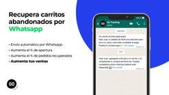 go recover screenshots images 1