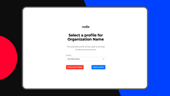 mollie klarna slice it screenshots images 3
