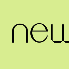 newness 1 shopify app reviews