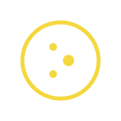 experiar shopify app reviews