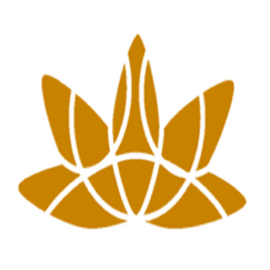 brio analytics shopify app reviews