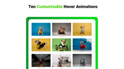 second image hover animations screenshots images 1
