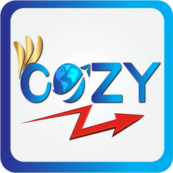cozy country redirect shopify app reviews