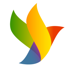 qservus lite shopify app reviews