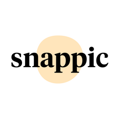 snappic instagram ads shopify app reviews