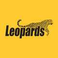 Official Leopards Courier app overview, reviews and download