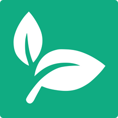 freshly shopify app reviews
