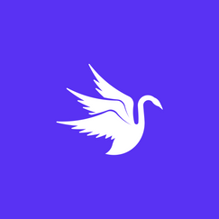 swan clothing sizing shopify app reviews