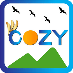 cozy gallery shopify app reviews