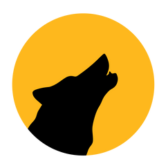 chilexpress shopify app reviews