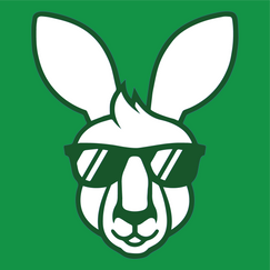 laseroo shopify app reviews