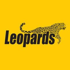 leopards courier 1 shopify app reviews