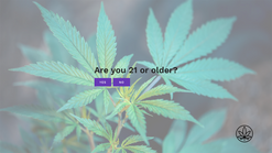 age verify email capture screenshots images 4