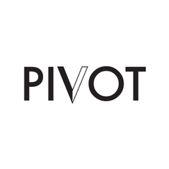 pivot app v2 shopify app reviews