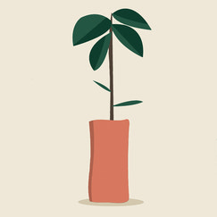plant tree grow ahead shopify app reviews