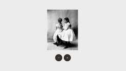 image zoom by widgetic screenshots images 1