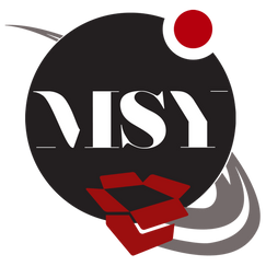 msy dropshipping shopify app reviews