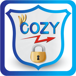 cozy antitheft for images and more shopify app reviews