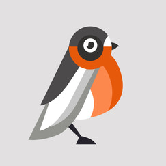 robin image optimizer shopify app reviews