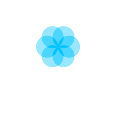 salsify shopify app reviews